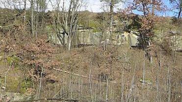 Das Gelände des ehemaligen Kellerbruchs am Ortseingang von Breitbrunn  Fotos: Sabine Meißner