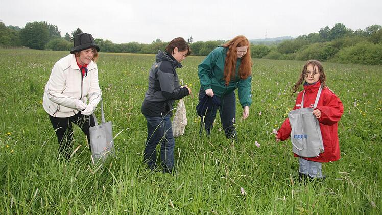 Gabriele Titze, Michaela Reinsch, Julia Möbius und Antonia Schüssler plünderten in den vergangenen Jahren die Wiesen. Foto: Sonny Adam