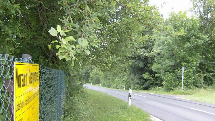 Foto: Petra Malbrich