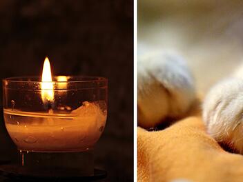 Reichenberg: Tierklinik erh&auml;lt bewegenden Brief von Katzenbesitzern - "ber&uuml;hrt uns sehr"