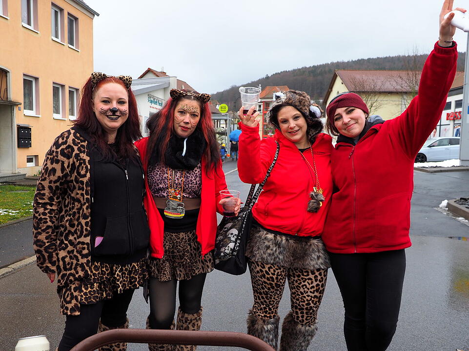Bad Br&uuml;ckenau feiert Fasching!