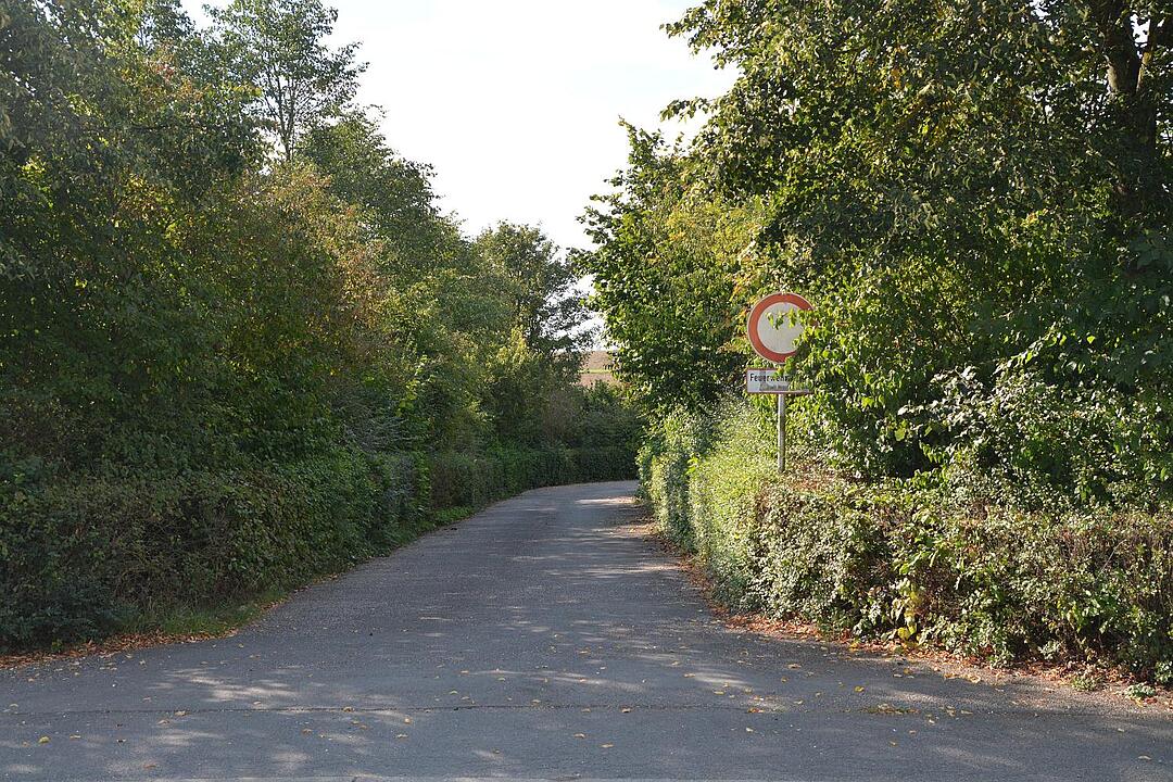 16.09.2015  Fotoreportage Fechheim