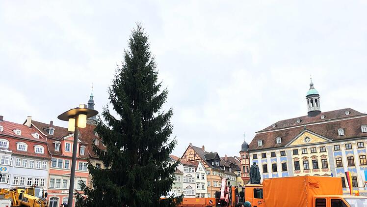 Geschaffft: die rund 15 Meter Hohe serbische Fichte steht auf dem Coburger Marktplatz.Foto: Jochen Berger