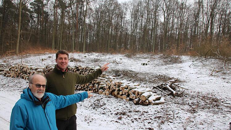 Eindrücke von den künftigen Windrad-Standorten im Sulzthaler Wald. Foto: Ralf Ruppert