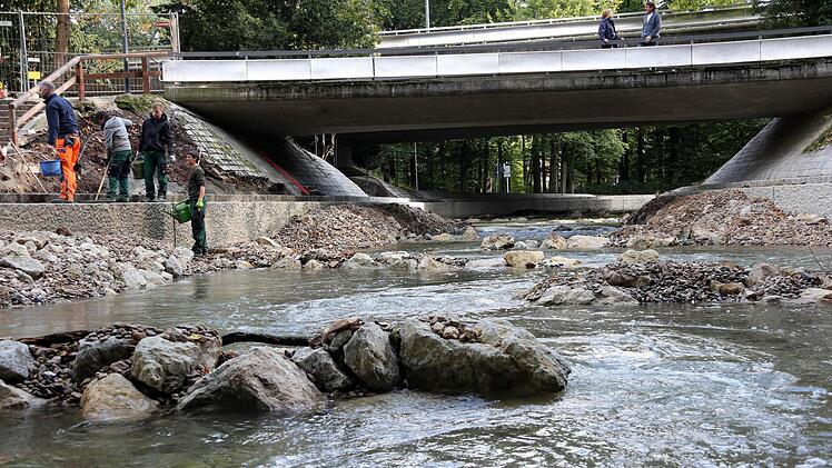 Noch im Sommer befand sich an dieser Stelle im Bamberger Hain ein Hufeisenwehr. Den Fischen zuliebe wurde das Gewässer  naturnah umgestaltet.  Fotos: Matthias Hoch/FT-Archiv