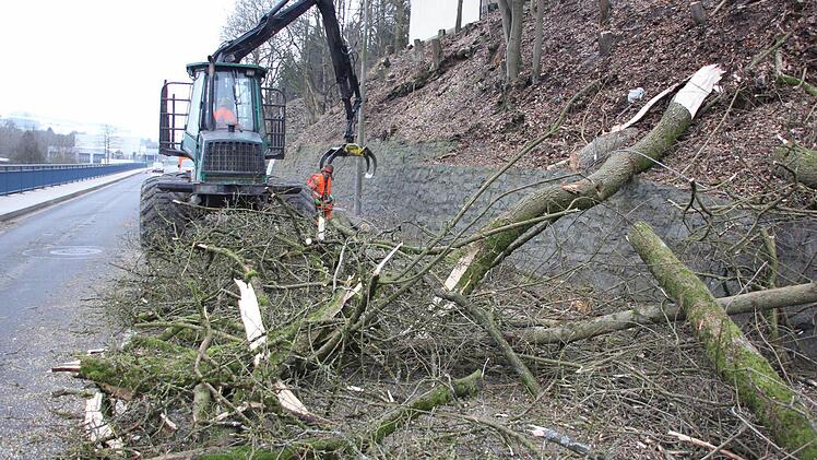 Die Stämme wurden in kurze Stücke geschnitten und verladen. Foto: Friedwald Schedel