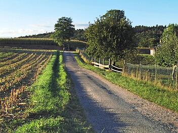 Beliebt vor allem bei Fußgängern: Dieser Weg am Ortsrand von Oberleiterbach soll ausgebaut werden. Foto: Johannes Michel