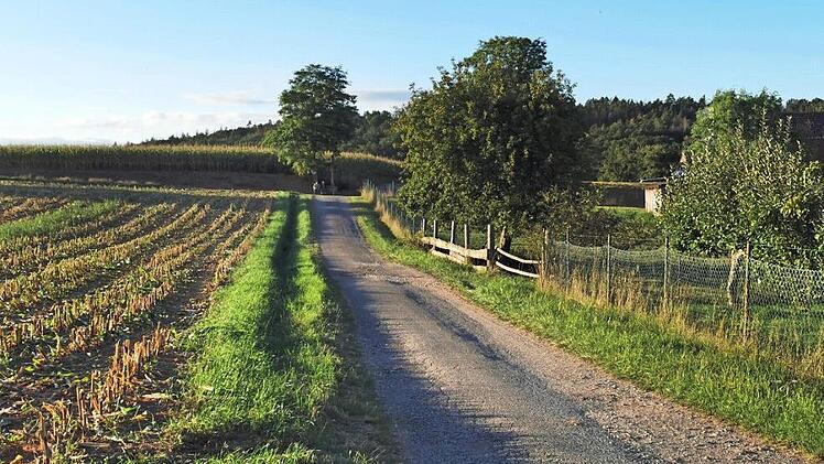 Beliebt vor allem bei Fußgängern: Dieser Weg am Ortsrand von Oberleiterbach soll ausgebaut werden. Foto: Johannes Michel