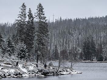 Schnee im Harz