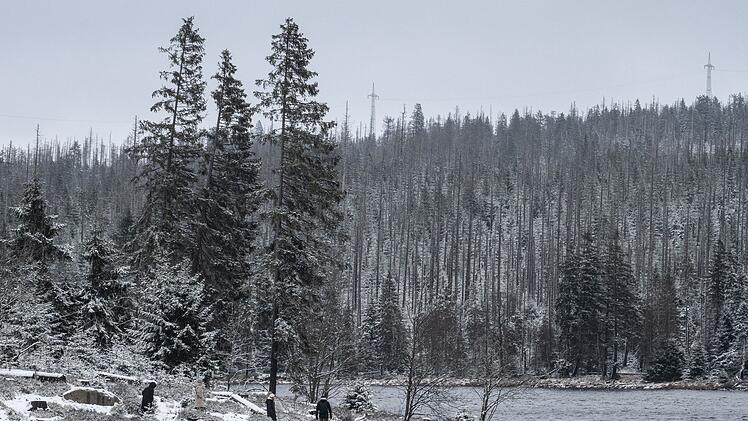 Schnee im Harz
