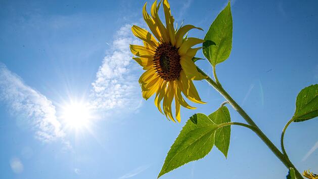 Sommerwetter in Bayern