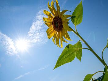 Sommerwetter in Bayern