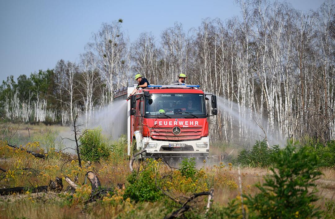 Waldbrand Gohrischheide
