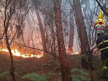 Waldbrand in der Toskana