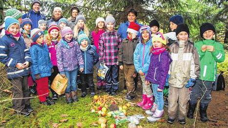 Wichtel wandern im Weihnachtswald