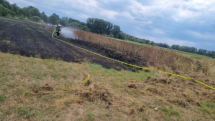 Niederfüllbach: Feuerwehr wird von Landwirtin unterstützt - über 100 Quadratmeter Brand