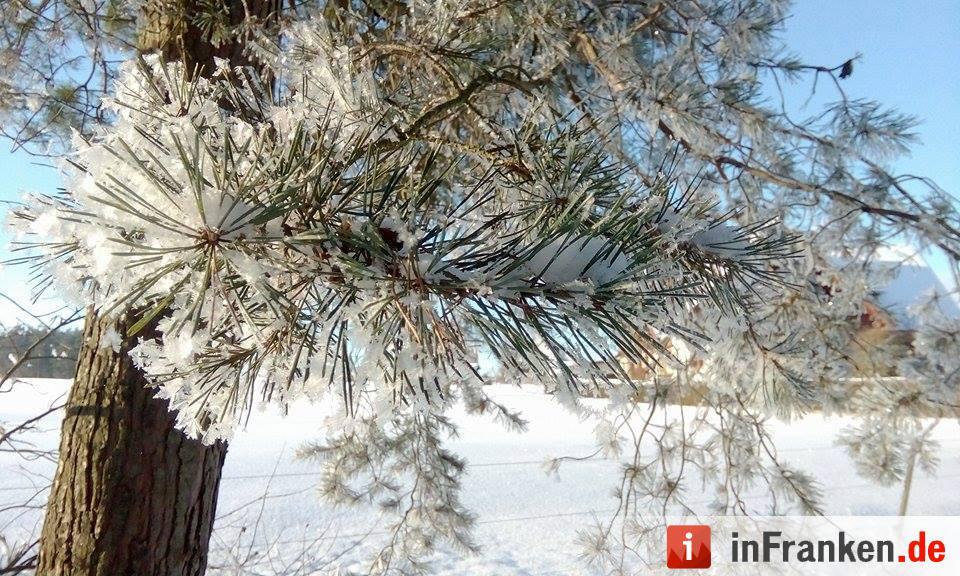 Eis und Schnee in Franken - die schönsten Winterleserfotos