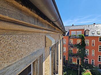 Bamberg: Spezielle Nistk&auml;sten f&uuml;r V&ouml;gel - "Mauersegler sind anspruchsvoll"