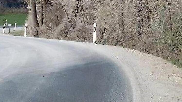 Die Egloffsteiner Straße in Gräfenberg. Ein Steinbruch versorgt unter anderem die ICE-Baustelle bei Forchheim mit Schotter.  Foto: inFrankenMelder "Henner"