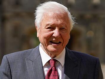 Sir David Attenborough feiert am 8. Mai seinen 100. Geburtstag.