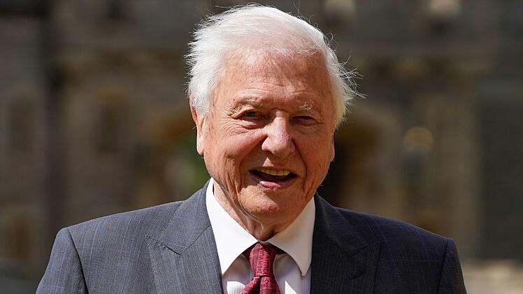 Sir David Attenborough feiert am 8. Mai seinen 100. Geburtstag.