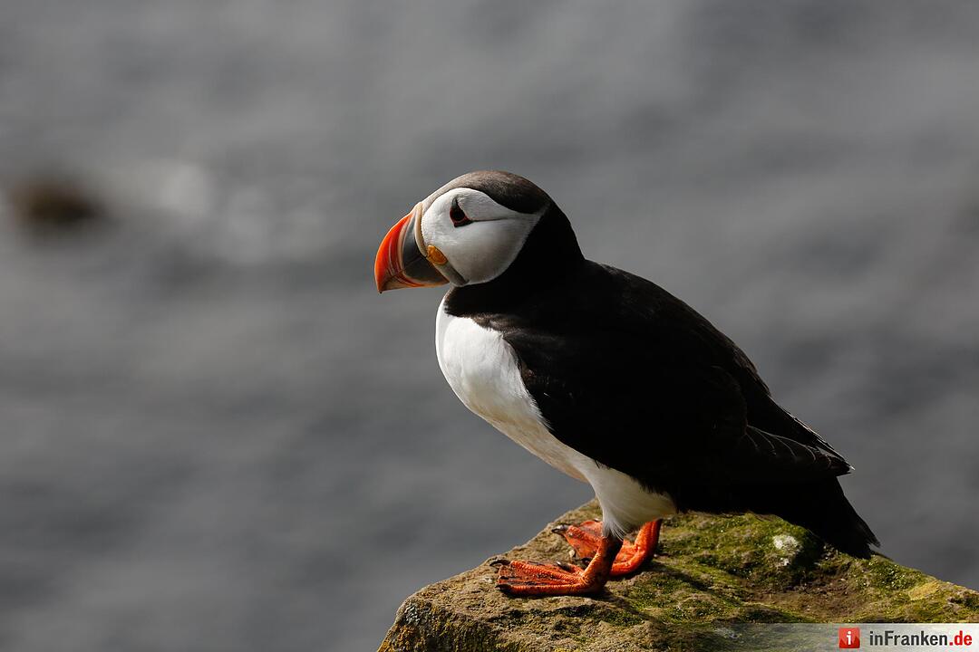 Bilder aus Island