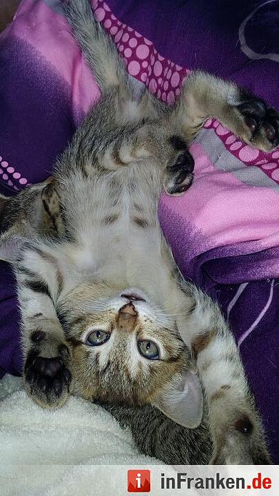 Foto: Marinna Dinkel