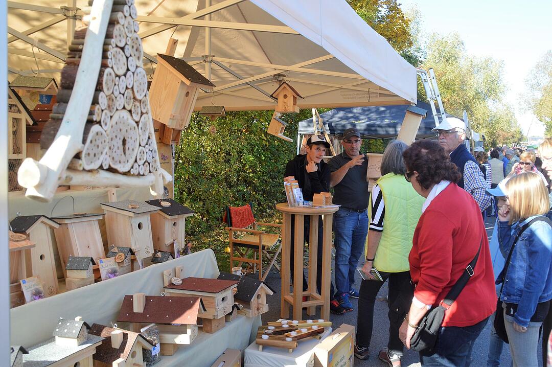 Holztag Scheinfeld 2017