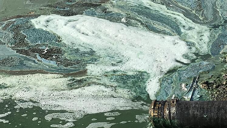 Ab in den Staubsauger. Foto: Sonny Adam