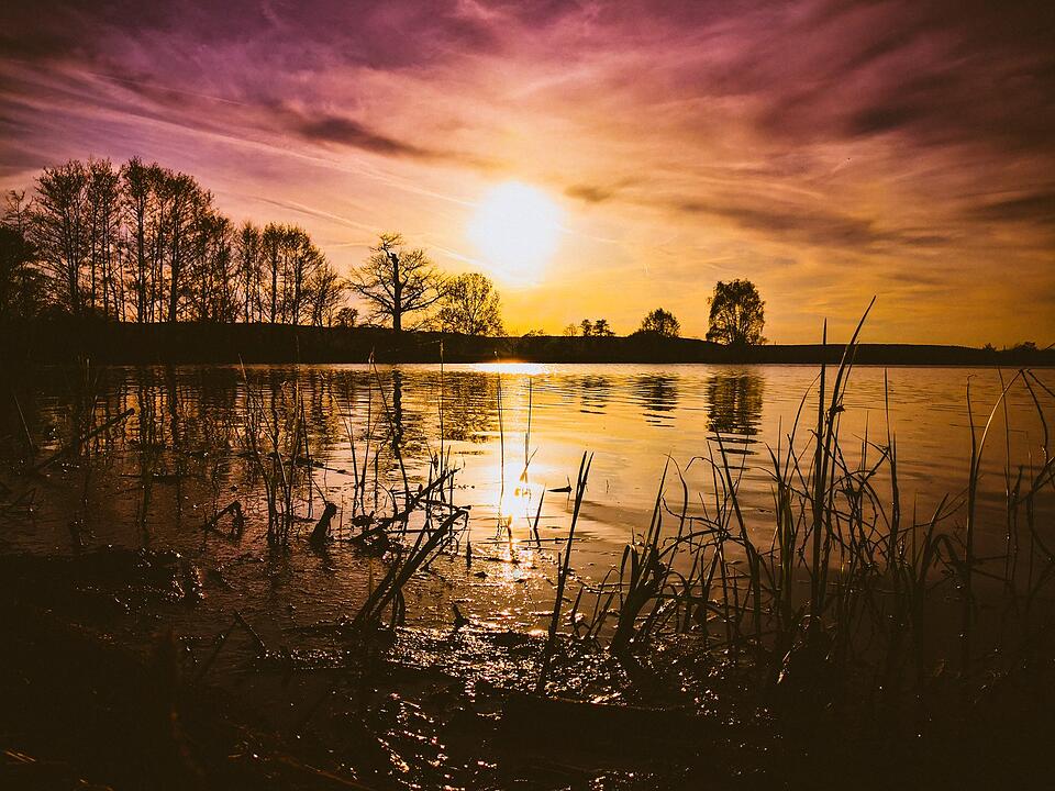 Die schönsten Frühlingsfotos aus Forchheim und Umgebung