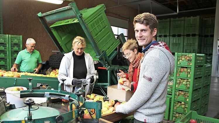 Clemens Schmitt (vorne rechts) hat seit 1. Juli den elterlichen Hof in Reichenbach übernommen. Momentan herrscht Hochsaison, denn die Apfelernte ist in vollem Gange. Die Familie und Helferinnen aus Reichenbach arbeiten Hand in Hand.  Fotos: Heike Beudert