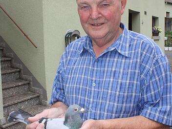 Züchter Theo Tüchert mit seiner erfolgreichen Taube.  Foto: Arnold Nöth