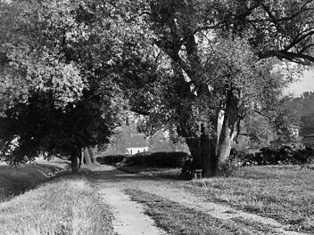 Für Emil Plat war dies noch der "Finkenauer Weg". Heute führt hier die Max-Brose-Straße auf die Nikolauskapelle zu. Fotos: Stadtarchiv Coburg