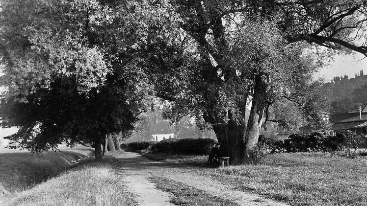 Für Emil Plat war dies noch der "Finkenauer Weg". Heute führt hier die Max-Brose-Straße auf die Nikolauskapelle zu. Fotos: Stadtarchiv Coburg