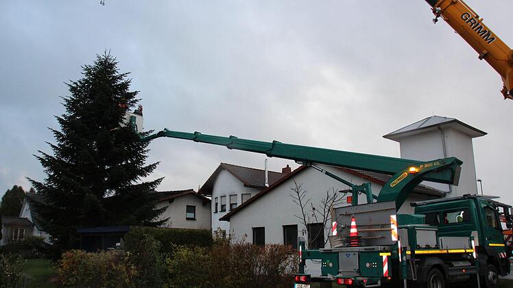Ein Team aus Grünflächenamt, CEB sowie einem privaten Kranbetrieb war im Morgengrauen angerückt.Oliver Schmidt