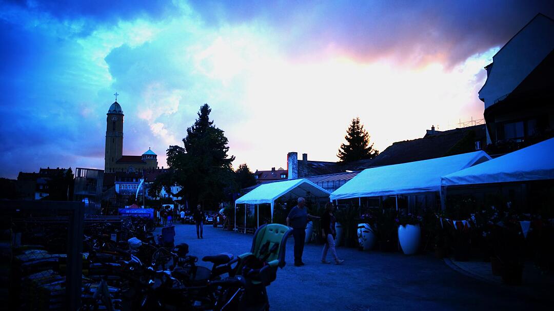 Blues und Jazz auf der Böhmerwiese