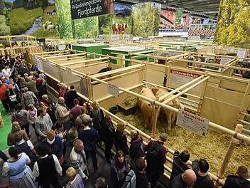 Die Tierhalle ist einer der Anziehungspunkte auf der Gr&uuml;nen Woche in Berlin.  Foto: Rainer Jensen/dpa