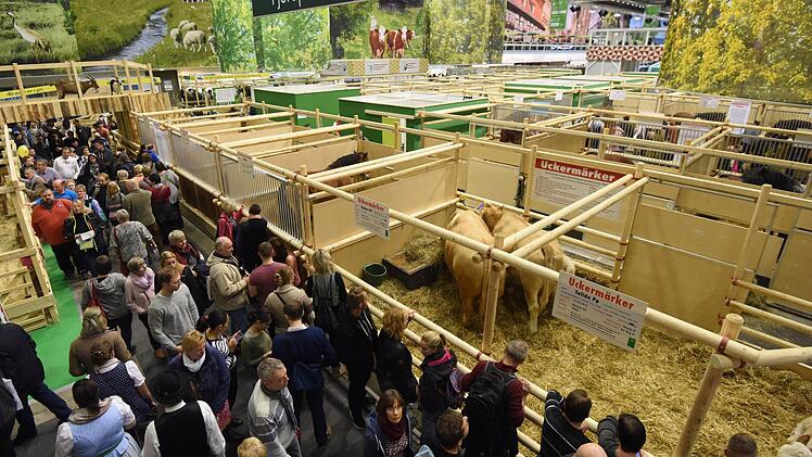 Die Tierhalle ist einer der Anziehungspunkte auf der Gr&uuml;nen Woche in Berlin.  Foto: Rainer Jensen/dpa