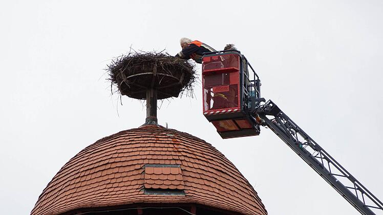 Die Küken werden aus dem Nest geholt.