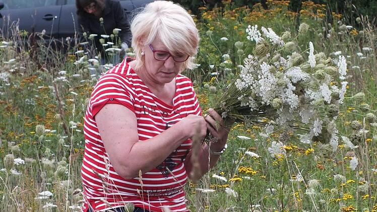 Agnes Graf sammelt auf der Streuobstwiese in Beutelsdorf Wildpflanzen für die Wurzbüschel zu Mariae Himmelfahrt.