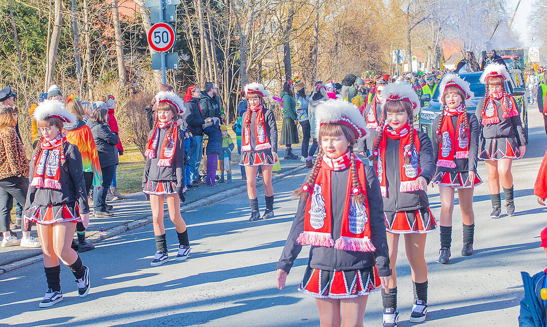 Die schönsten Fotos vom Allersberger Faschingszug 2025 gibt es hier! (Teil 1)