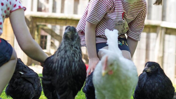 Ferien auf dem Bauernhof sind vor allem für kleine Kinder ein ganz besonderes Erlebnis.  Foto: djd/Probstei Tourismus Marketing/Agentur SECRA, Neustadt