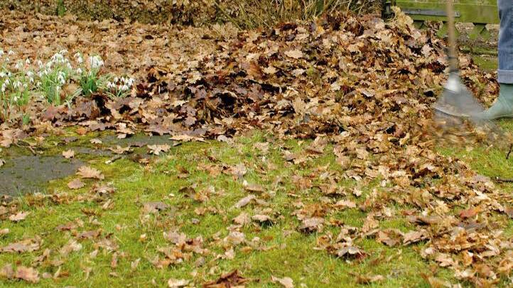 Man sollte im Frühling nicht das Herbstlaub unter den Sträuchern und Stauden herauskratzen. (Foto: Jens Schierenbeck / dpa)