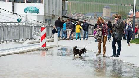 Spaziergänger schauen sich am Sonntag das Hochwasser am Main in Würzburg an. Foto: Tobias Köpplinger