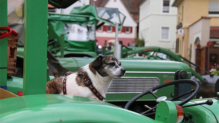 Oldtimertreffen