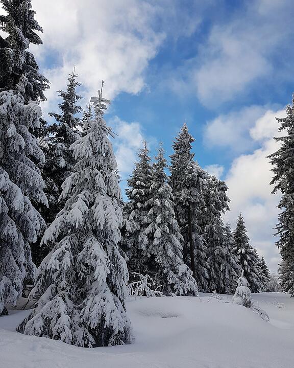 Urlaub in Franken: Fichtelgebirge im Winter