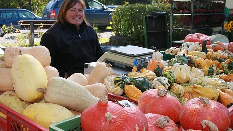 Kürbisse mit kleinen Warzen, mit Streifen, unifarbene oder zweifarbige Zierkürbisse - Margarete Sesselmann hatte Kürbisse in allen Größen und Formen: auch Hokaido, Butternut und Spaghettikürbisse.  Fotos: Sonja Adam