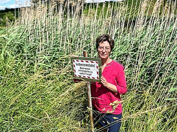 Biber beschädigt Teich in Obervolkach