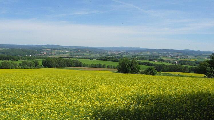 Blick vom Forstweg aus auf Klosterlangheim. Foto: Günter Reinlein