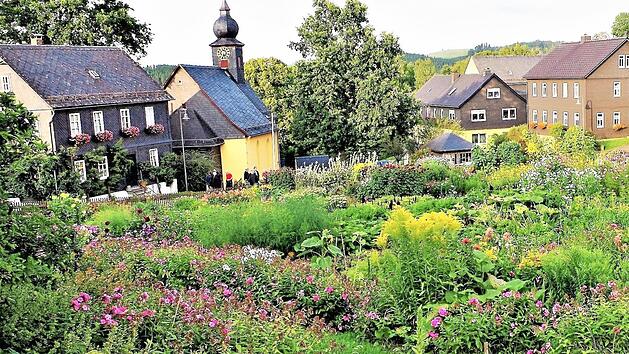 Der Gemeinschaftsgarten in Steinbach an der Haide  Foto: Gerd Fleischmann